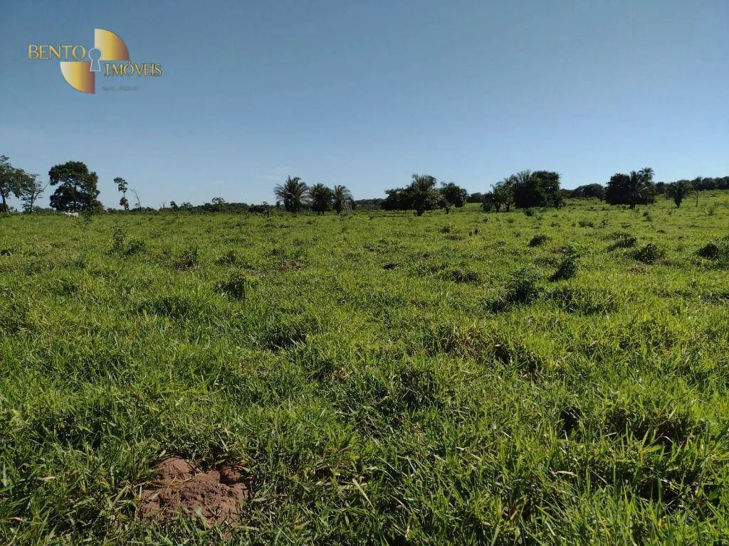 Fazenda à venda de 3.840 ha em Porto Esperidião, MT, Brasil