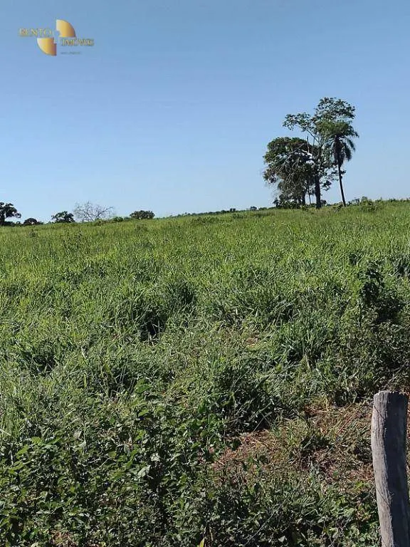 Fazenda à venda de 3.840 ha em Porto Esperidião, MT, Brasil
