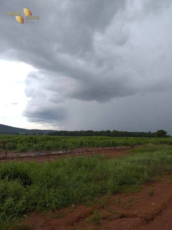 Fazenda à venda de 3.840 ha em Porto Esperidião, MT, Brasil