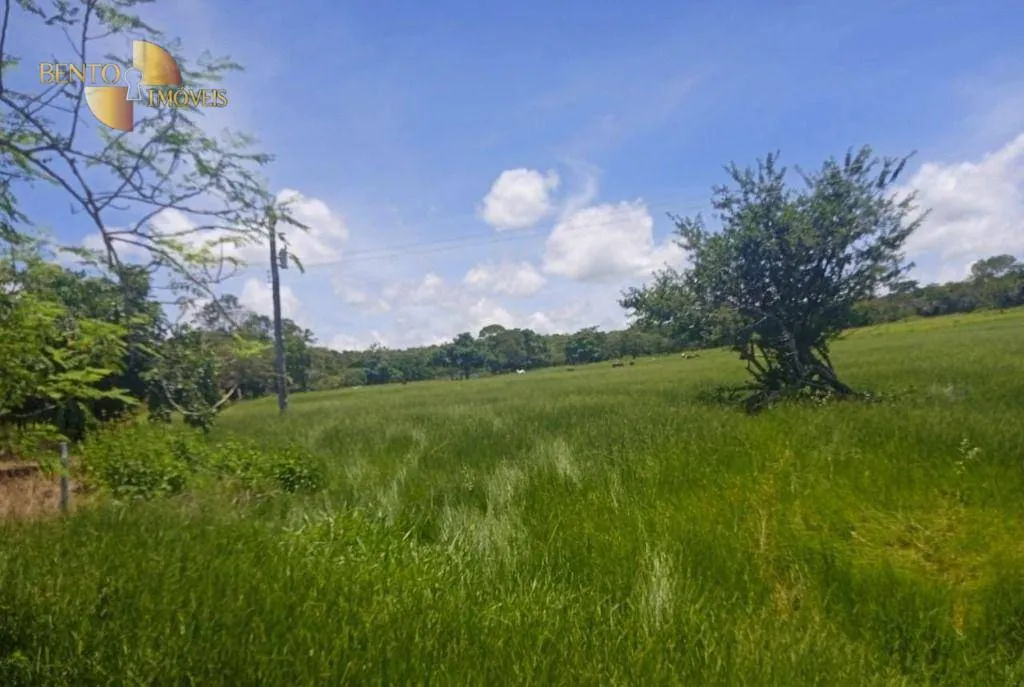 Fazenda à venda de 3.840 ha em Porto Esperidião, MT, Brasil