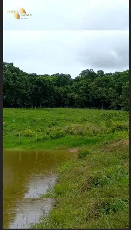 Fazenda à venda de 191 ha em Jangada, MT, Brasil