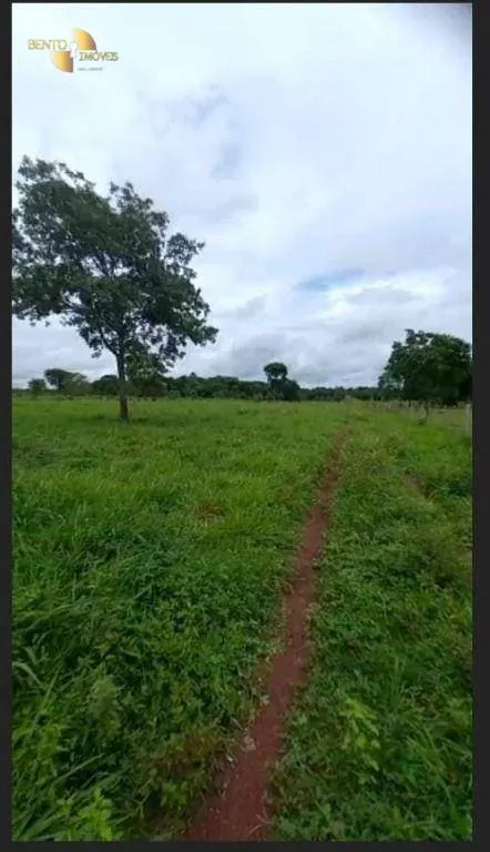 Fazenda à venda de 191 ha em Jangada, MT, Brasil