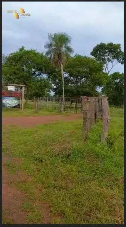 Fazenda à venda de 191 ha em Jangada, MT, Brasil