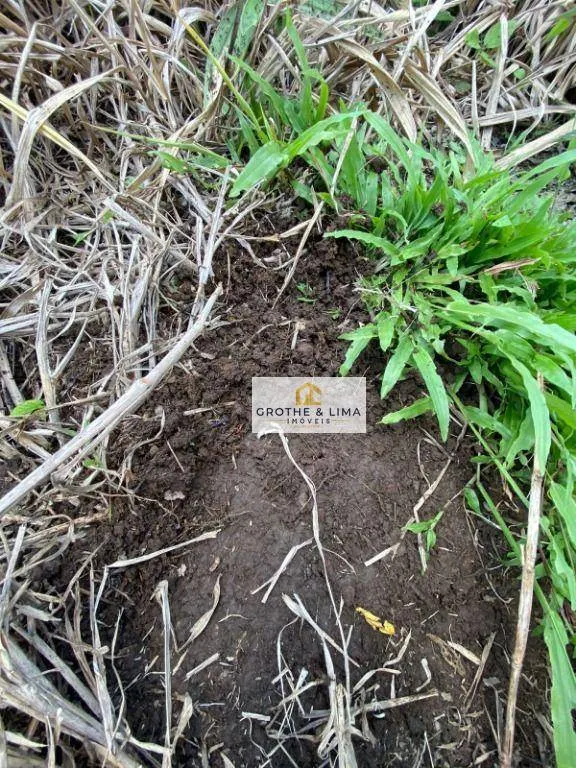 Fazenda à venda de 1.065 ha em Colinas do Tocantins, TO, Brasil
