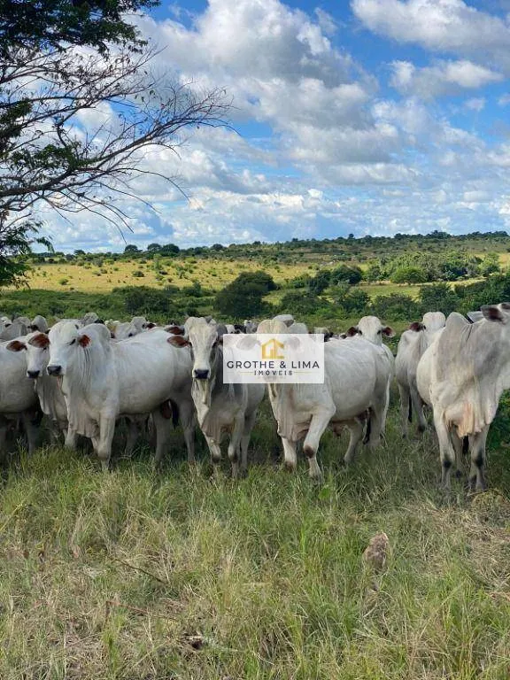Fazenda à venda de 1.065 ha em Colinas do Tocantins, TO, Brasil