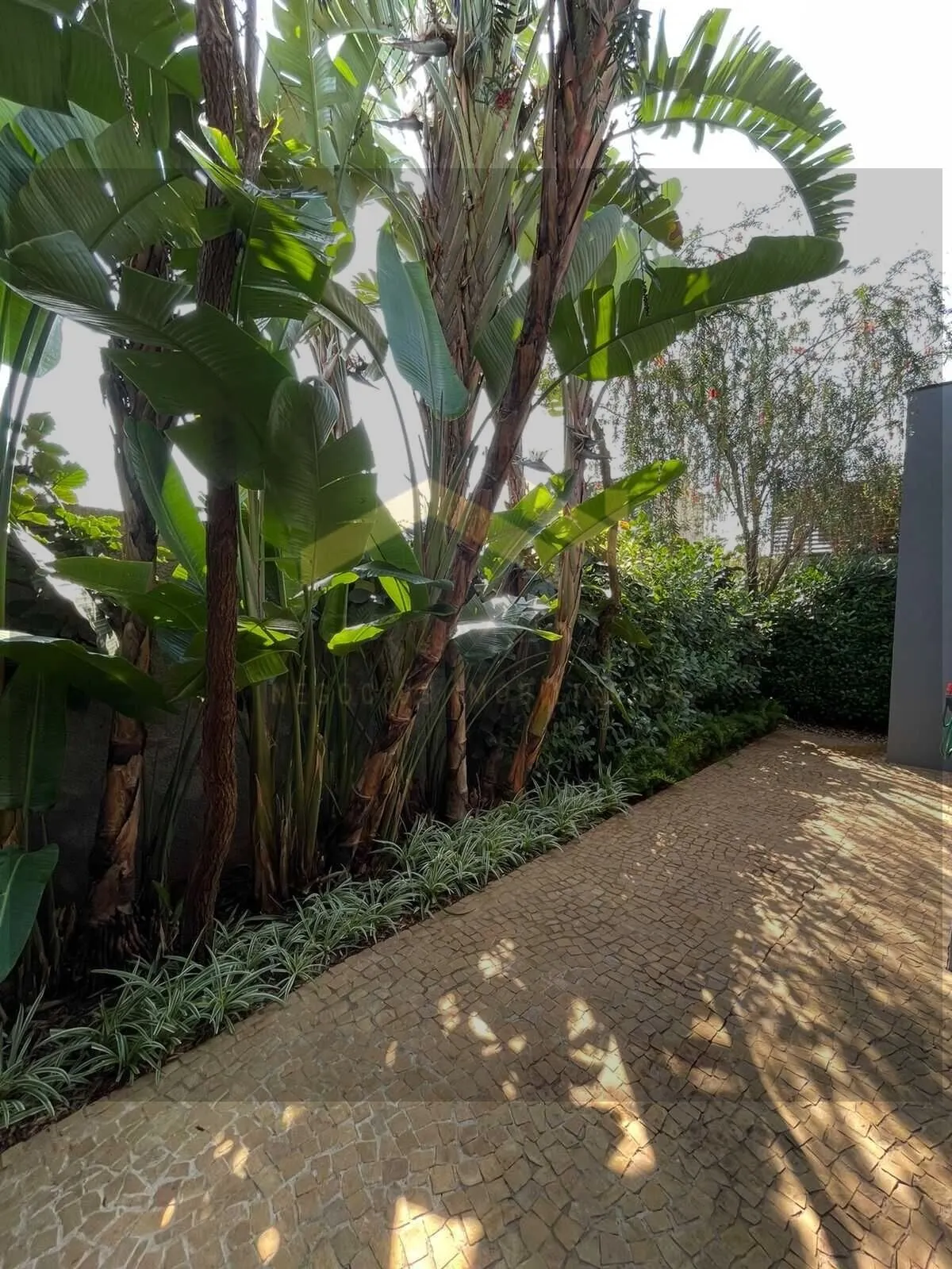Casa à venda de 250 m² em Sumaré, SP, Brasil
