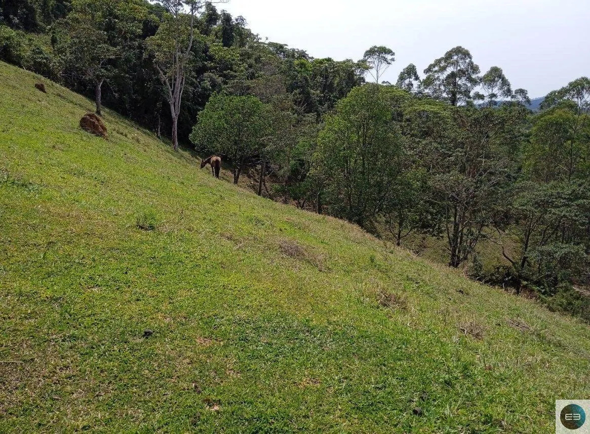 Small farm for sale of 30 acres in Paraibuna, SP, Brazil