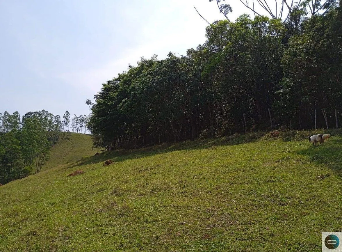 Small farm for sale of 30 acres in Paraibuna, SP, Brazil