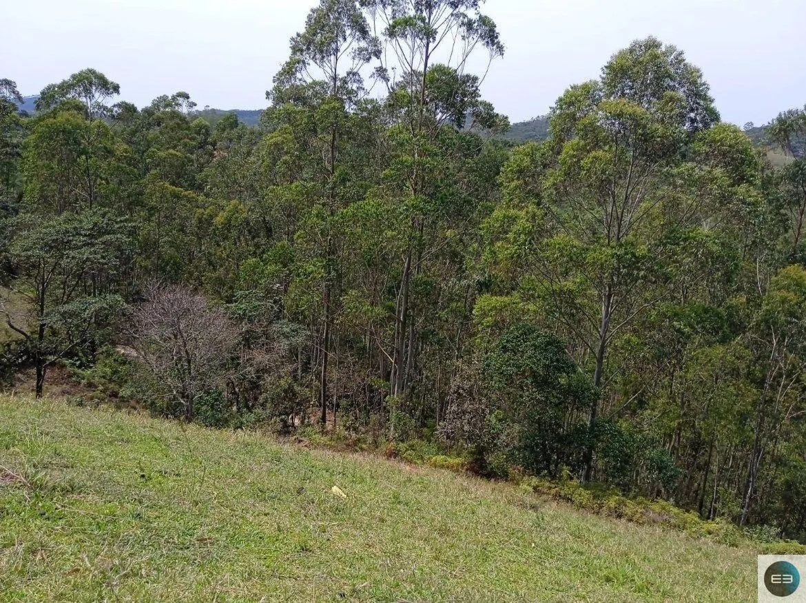 Small farm for sale of 30 acres in Paraibuna, SP, Brazil