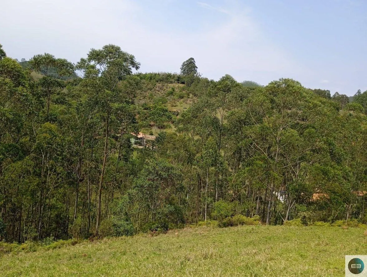 Small farm for sale of 30 acres in Paraibuna, SP, Brazil