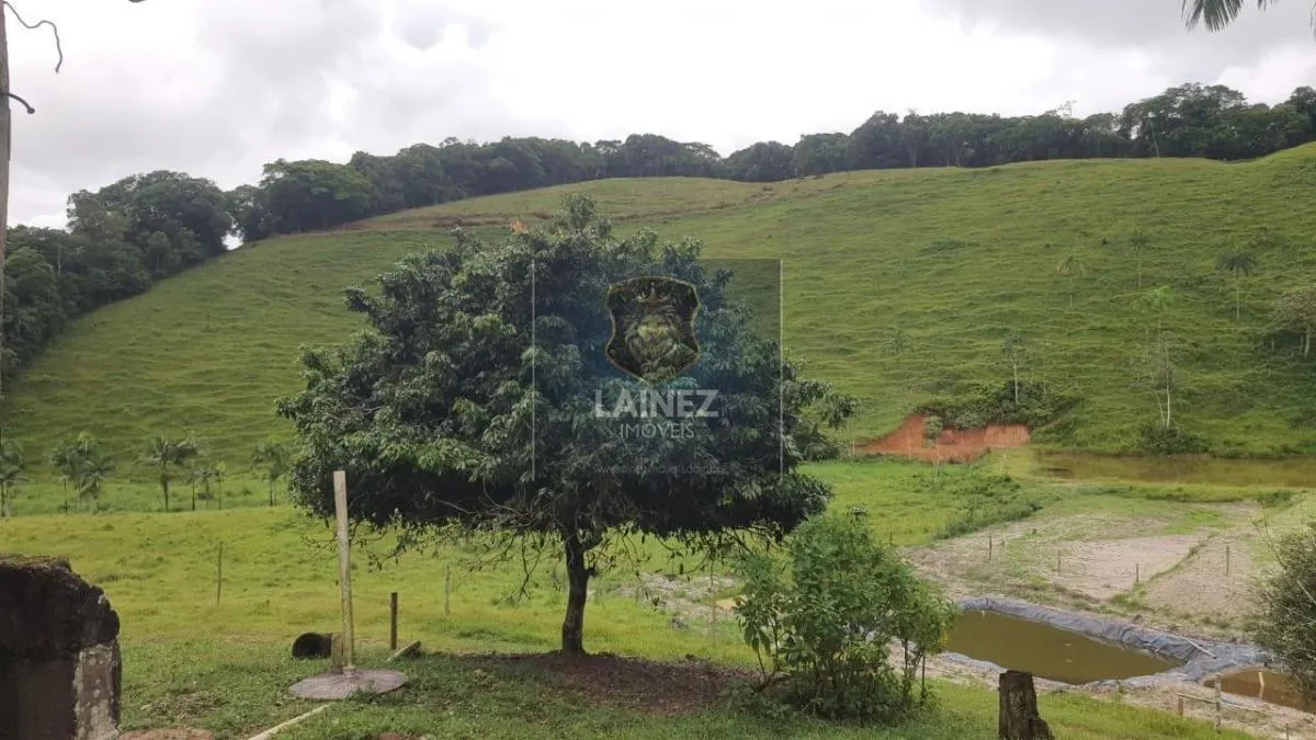 Fazenda à venda de 156 ha em São Lourenço da Serra, SP, Brasil