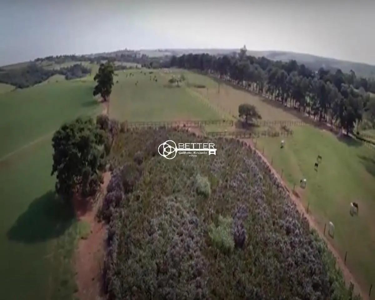 Fazenda à venda de 7.986 ha em Porto Feliz, SP, Brasil