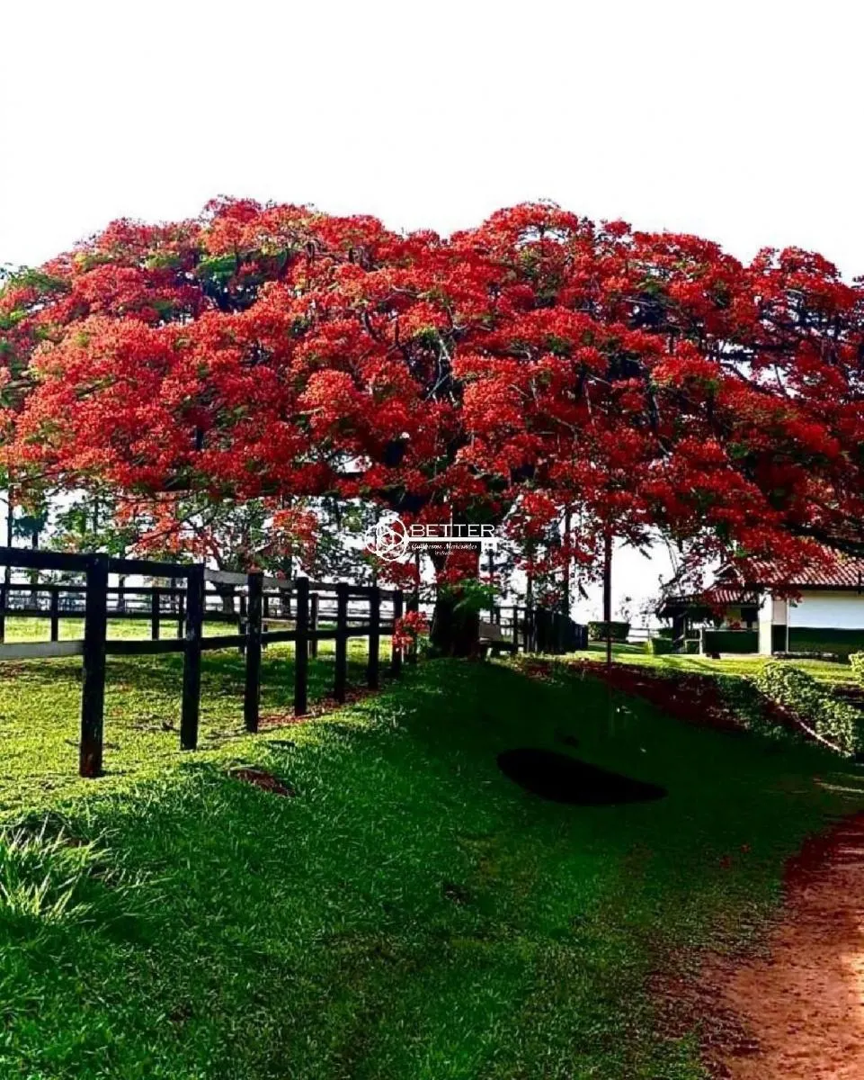 Fazenda à venda de 7.986 ha em Porto Feliz, SP, Brasil