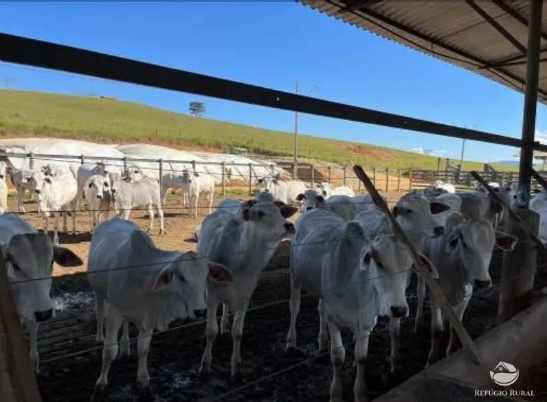 Fazenda à venda de 256 ha em São José dos Campos, SP, Brasil