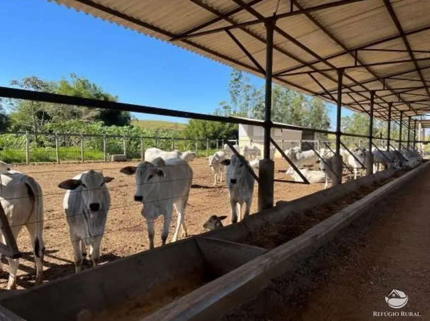 Fazenda à venda de 256 ha em São José dos Campos, SP, Brasil