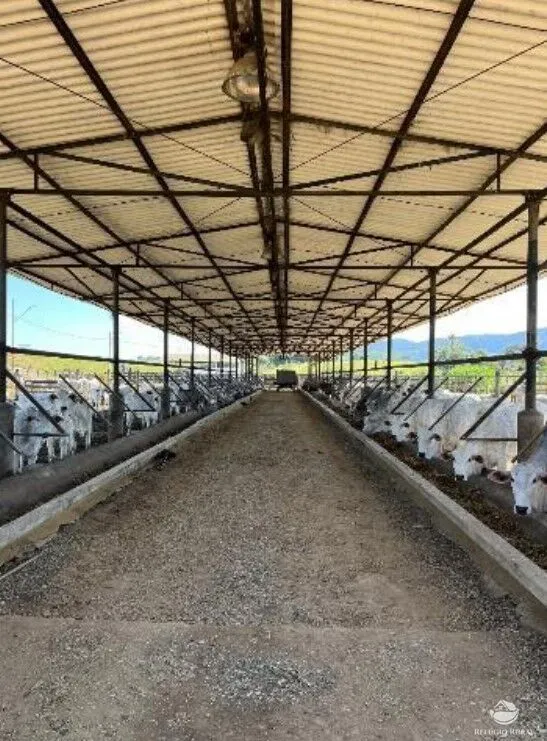 Fazenda à venda de 256 ha em São José dos Campos, SP, Brasil