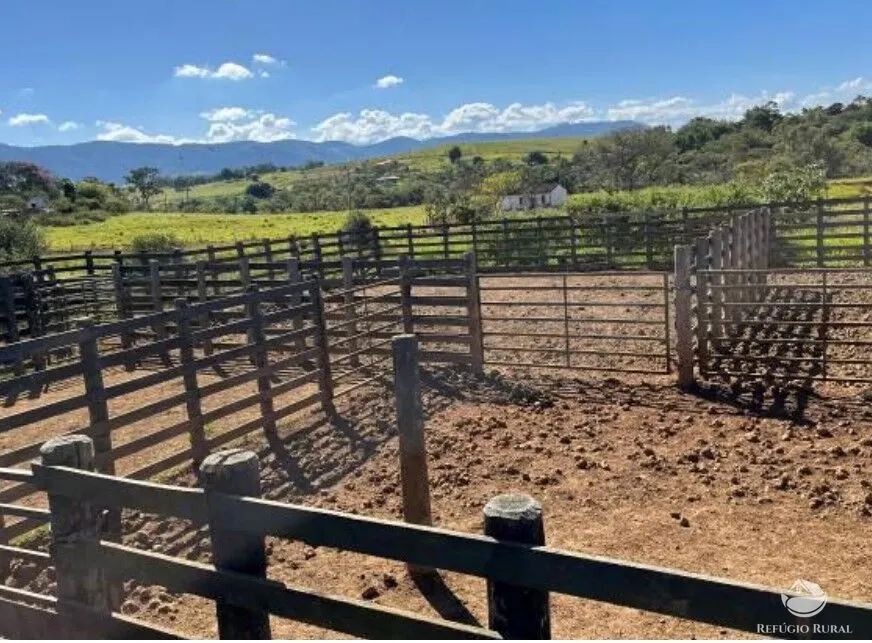 Fazenda à venda de 256 ha em São José dos Campos, SP, Brasil