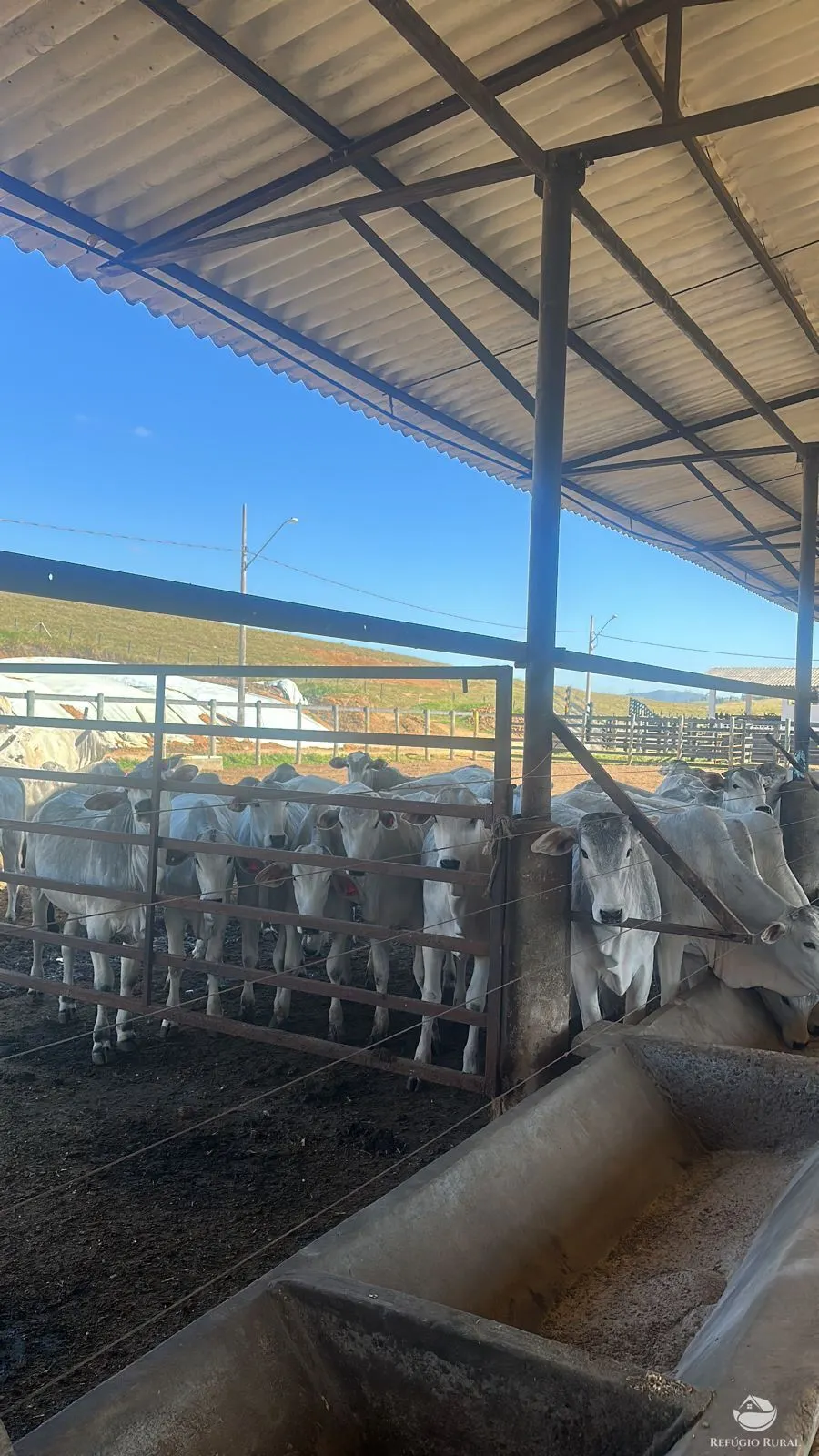 Fazenda à venda de 256 ha em São José dos Campos, SP, Brasil