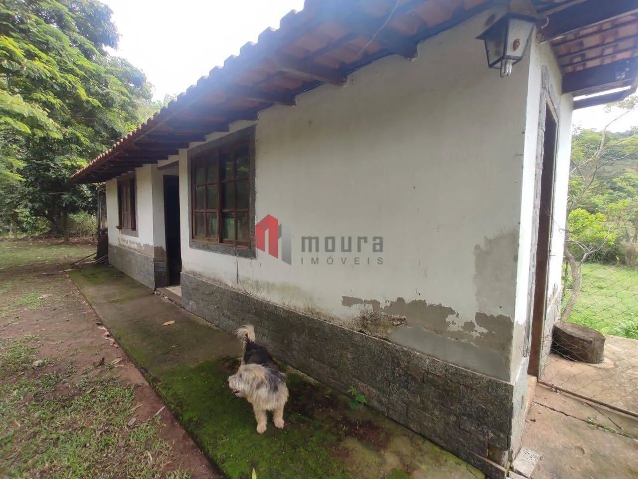 Sítio à venda de 23 ha em Santos Dumont, MG, Brasil