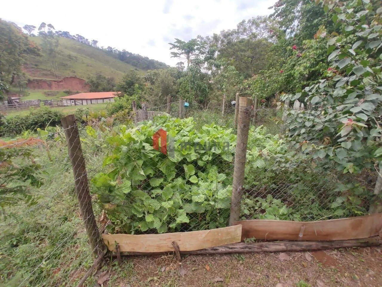 Sítio à venda de 23 ha em Santos Dumont, MG, Brasil
