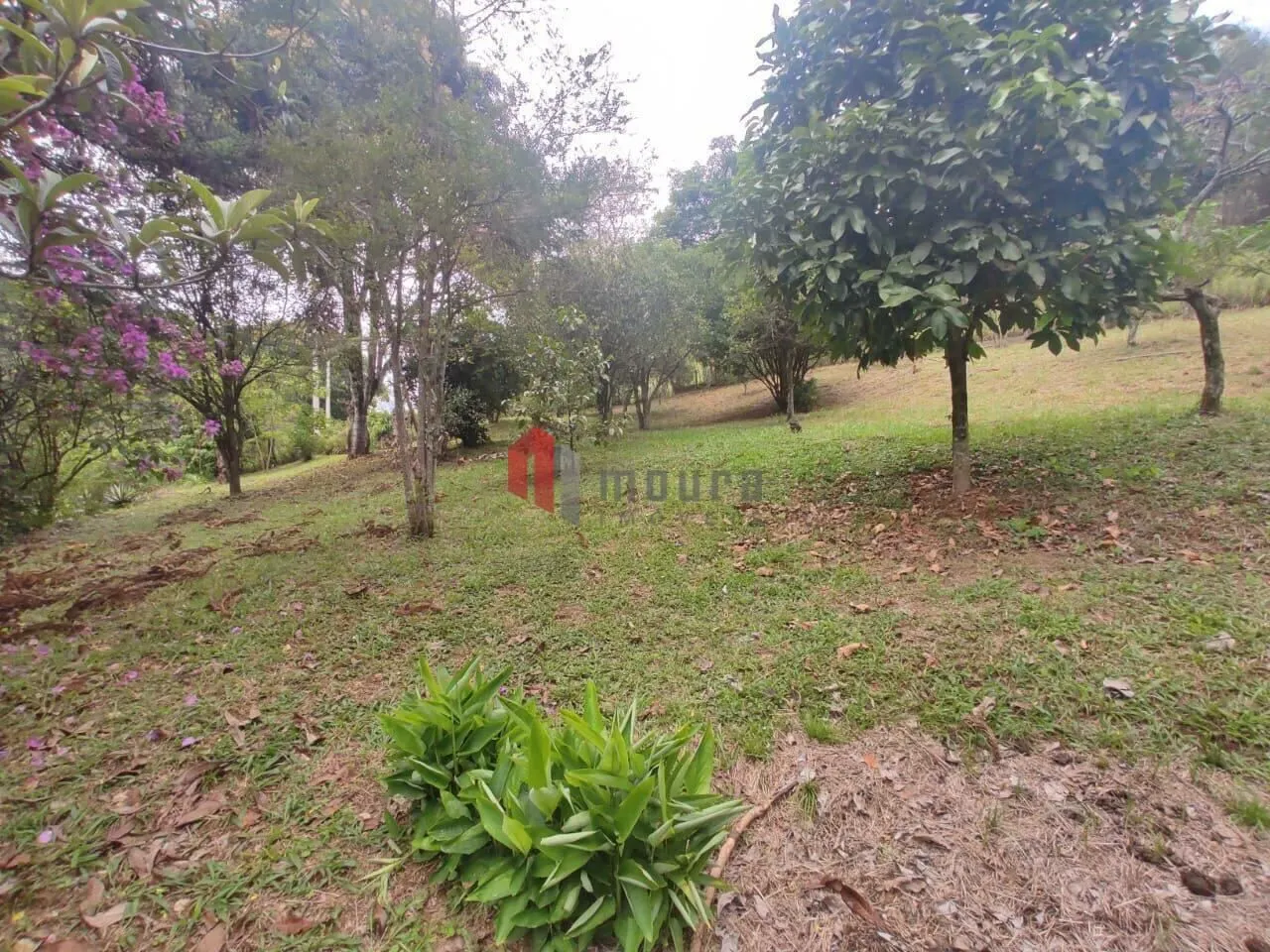 Sítio à venda de 23 ha em Santos Dumont, MG, Brasil