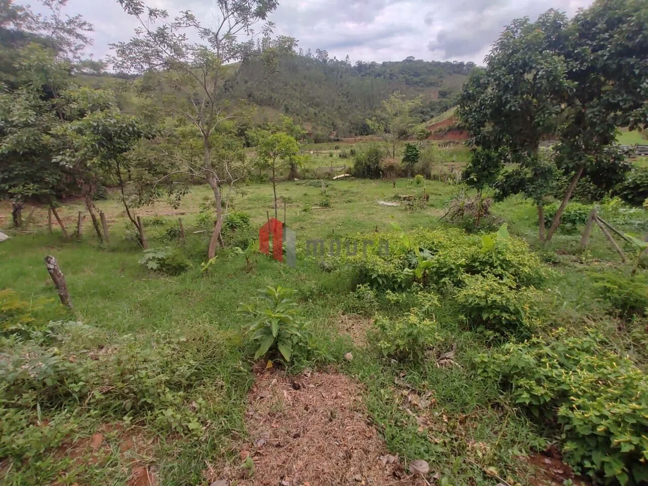 Sítio à venda de 23 ha em Santos Dumont, MG, Brasil
