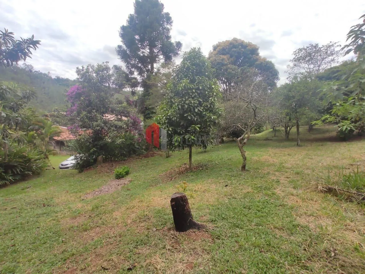 Sítio à venda de 23 ha em Santos Dumont, MG, Brasil