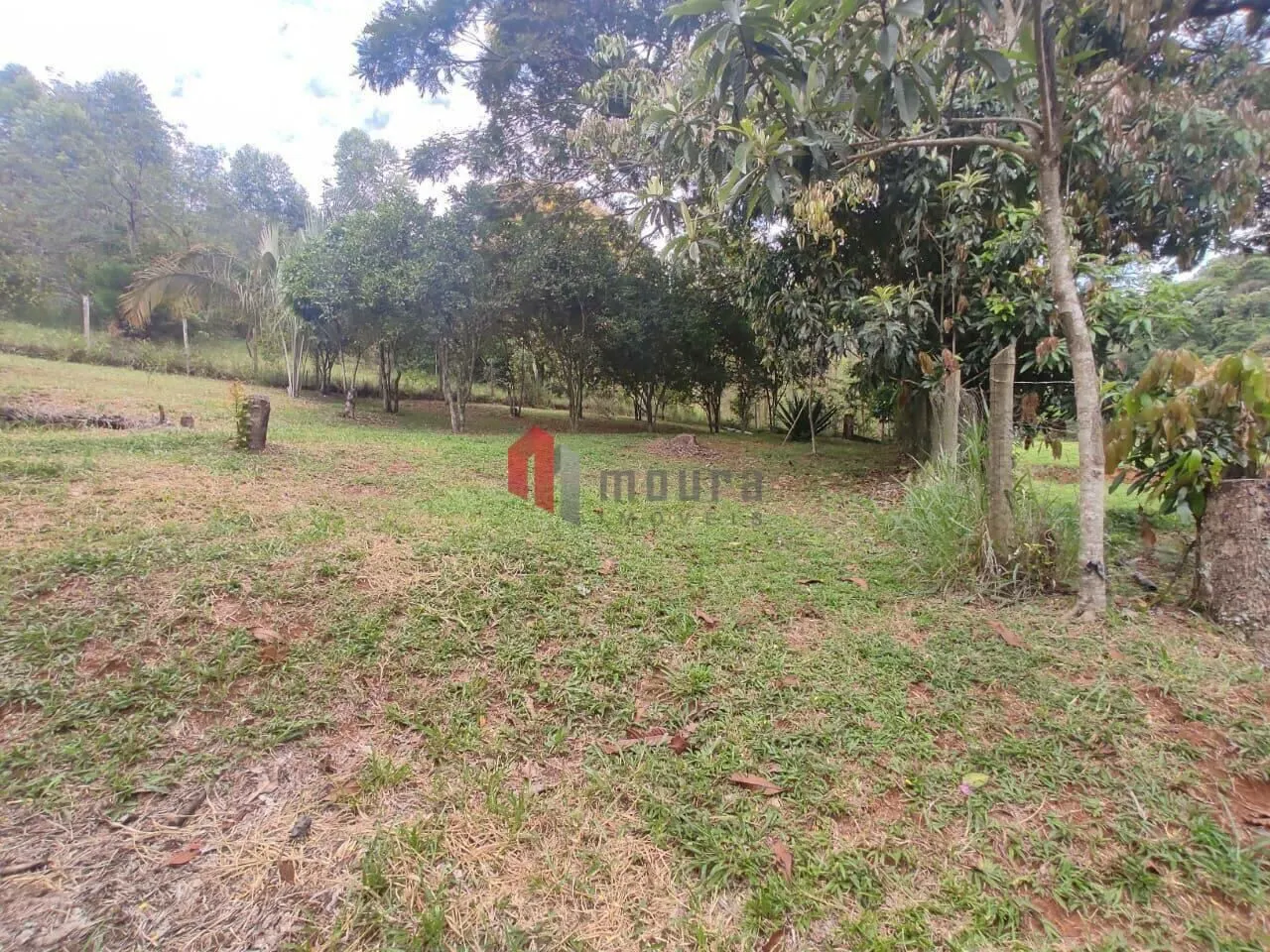 Sítio à venda de 23 ha em Santos Dumont, MG, Brasil