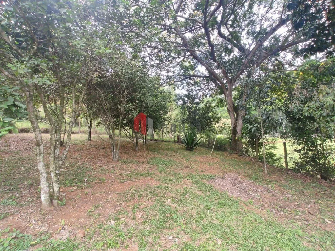 Sítio à venda de 23 ha em Santos Dumont, MG, Brasil