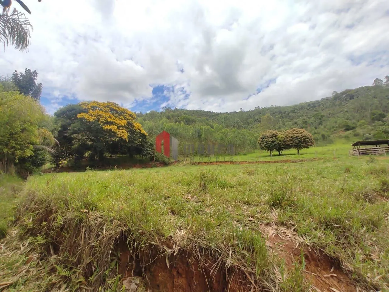 Sítio à venda de 23 ha em Santos Dumont, MG, Brasil