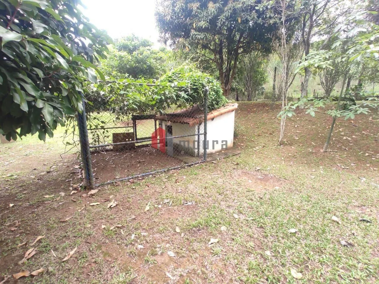 Sítio à venda de 23 ha em Santos Dumont, MG, Brasil