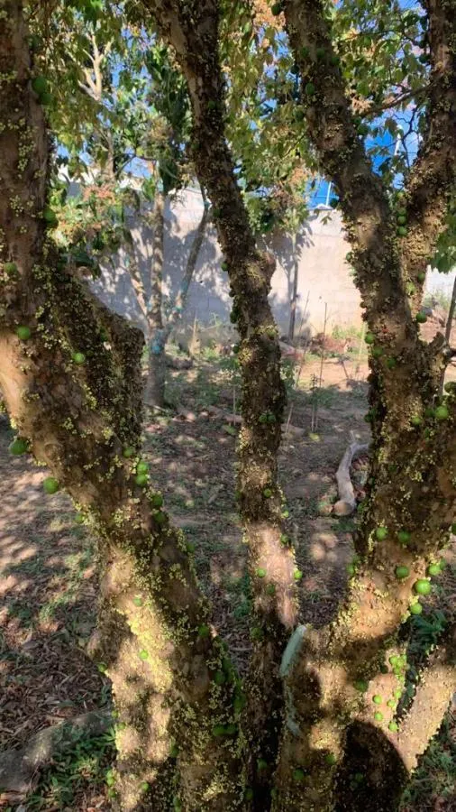 Country home for sale of 950 m² in Mairinque, SP, Brazil