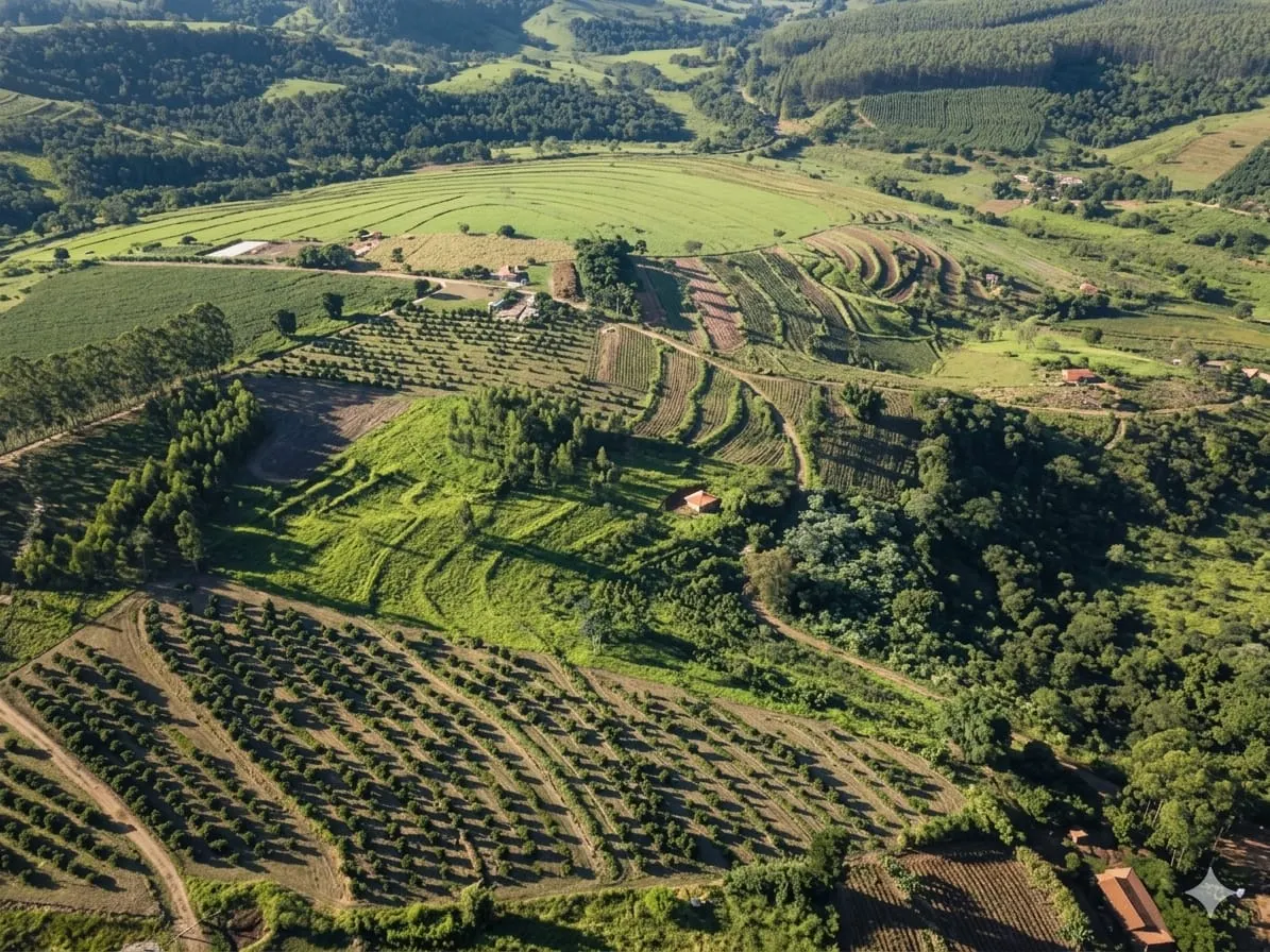 Small farm for sale of 9 acres in Timburi, SP, Brazil