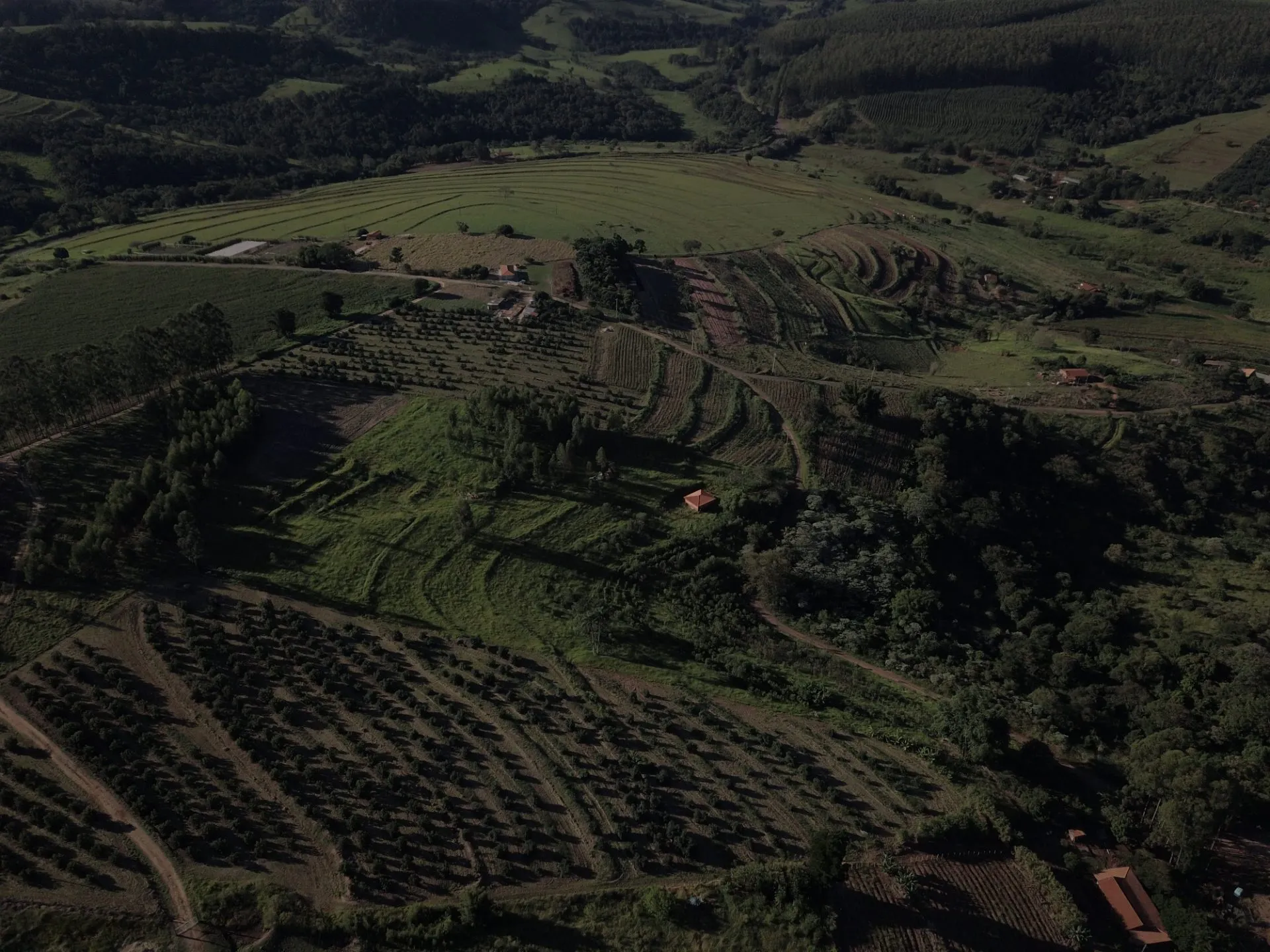 Small farm for sale of 9 acres in Timburi, SP, Brazil