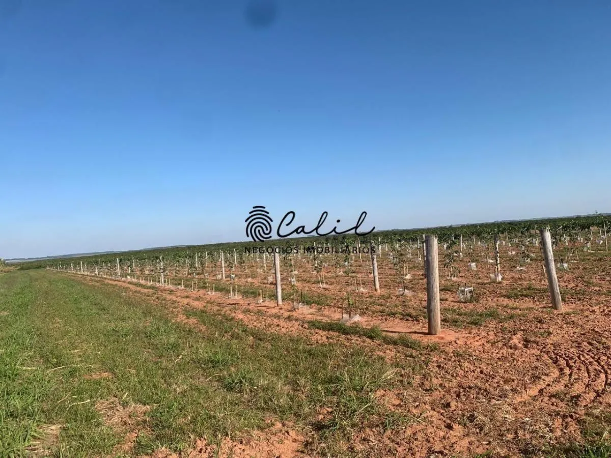 Fazenda à venda de 234 ha em Garça, SP, Brasil