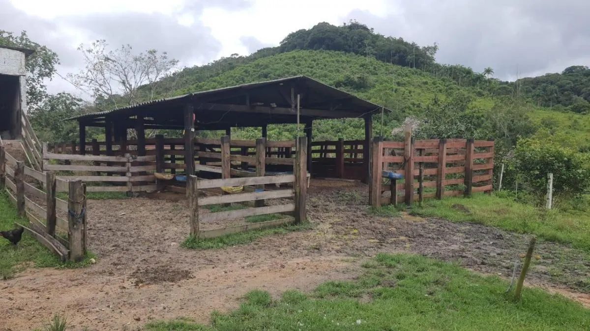 Farm for sale of 383 acres in Miracatu, SP, Brazil