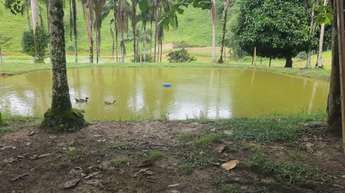 Fazenda à venda de 155 ha em Miracatu, SP, Brasil
