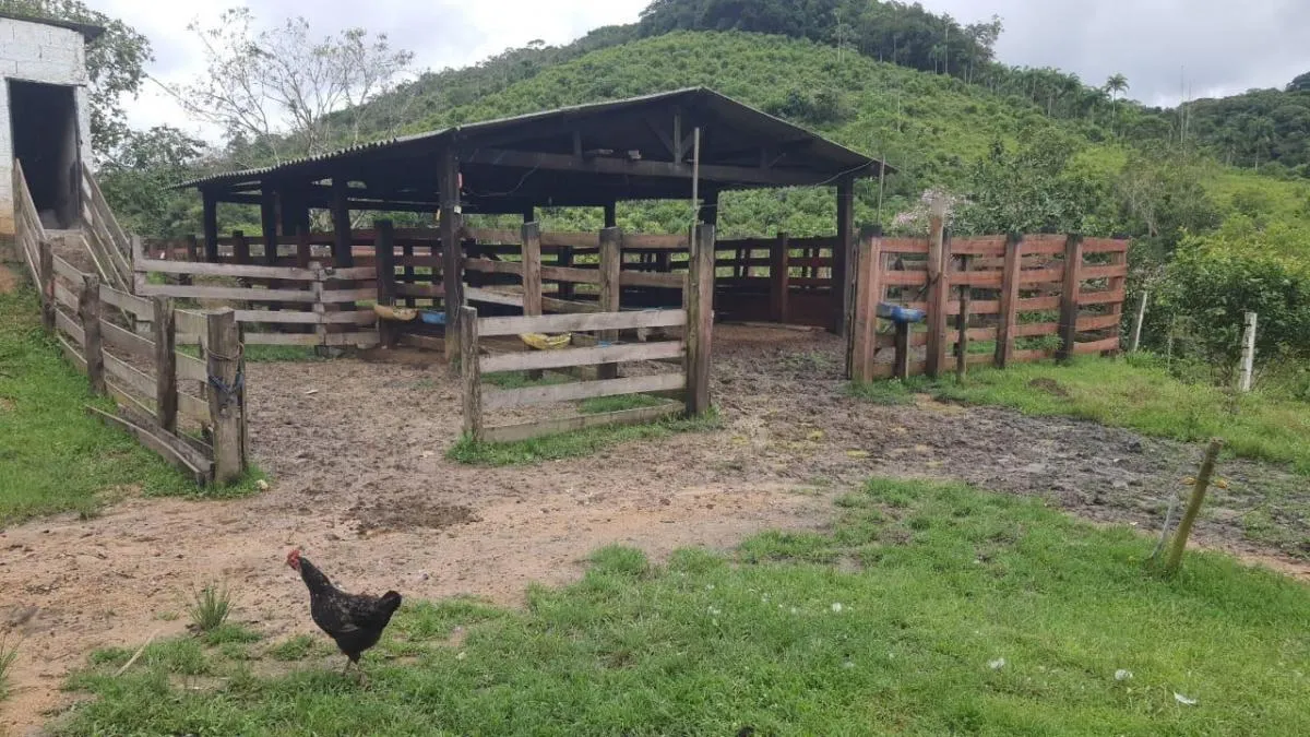 Farm for sale of 383 acres in Miracatu, SP, Brazil