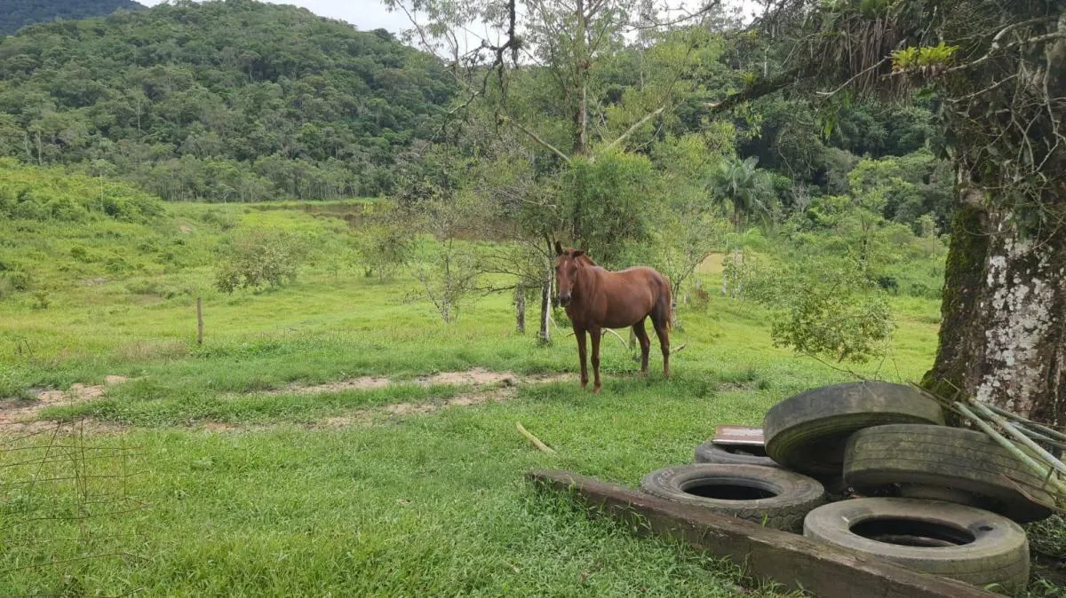 Farm for sale of 383 acres in Miracatu, SP, Brazil