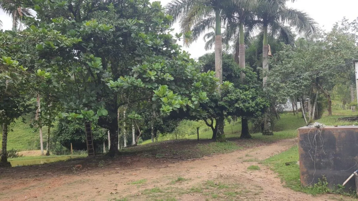 Farm for sale of 383 acres in Miracatu, SP, Brazil