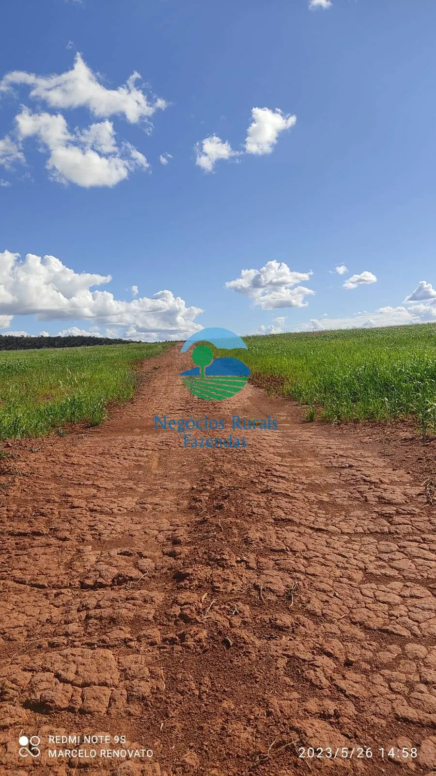 Fazenda à venda de 352 ha em Niquelândia, GO, Brasil