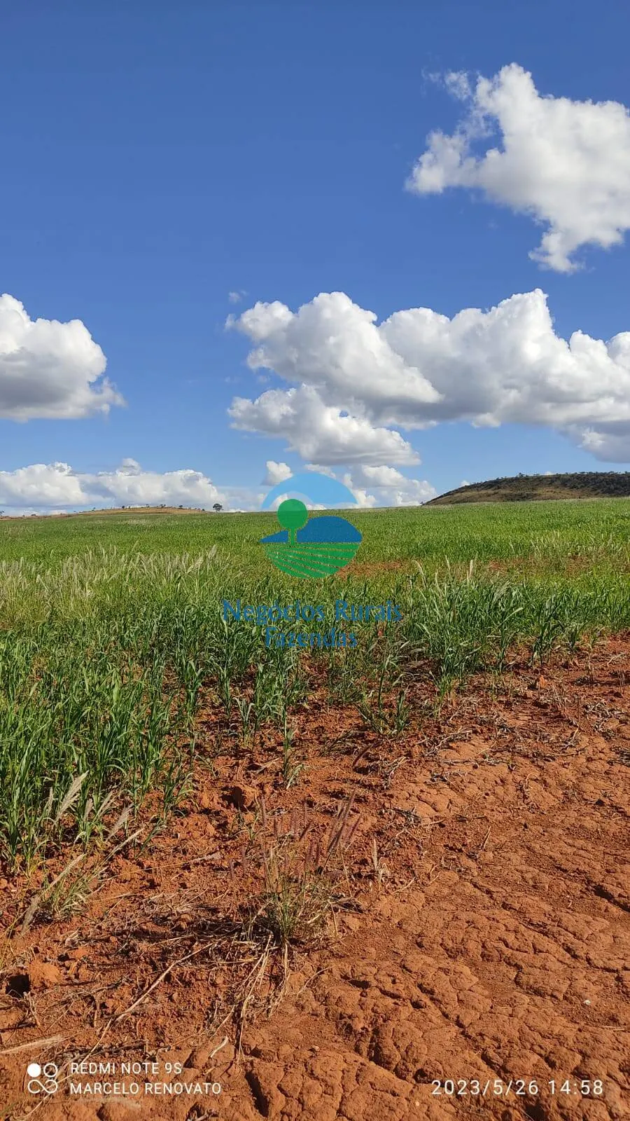 Fazenda à venda de 352 ha em Niquelândia, GO, Brasil