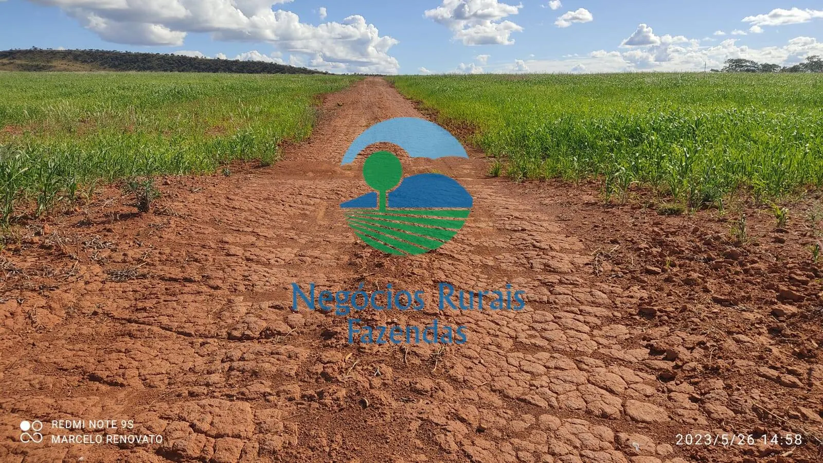 Fazenda à venda de 352 ha em Niquelândia, GO, Brasil