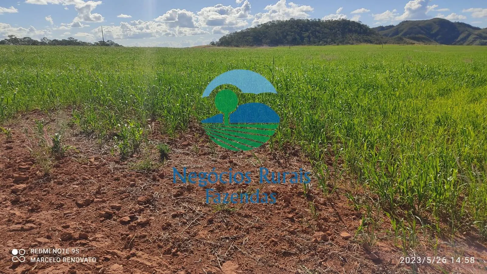 Fazenda à venda de 352 ha em Niquelândia, GO, Brasil