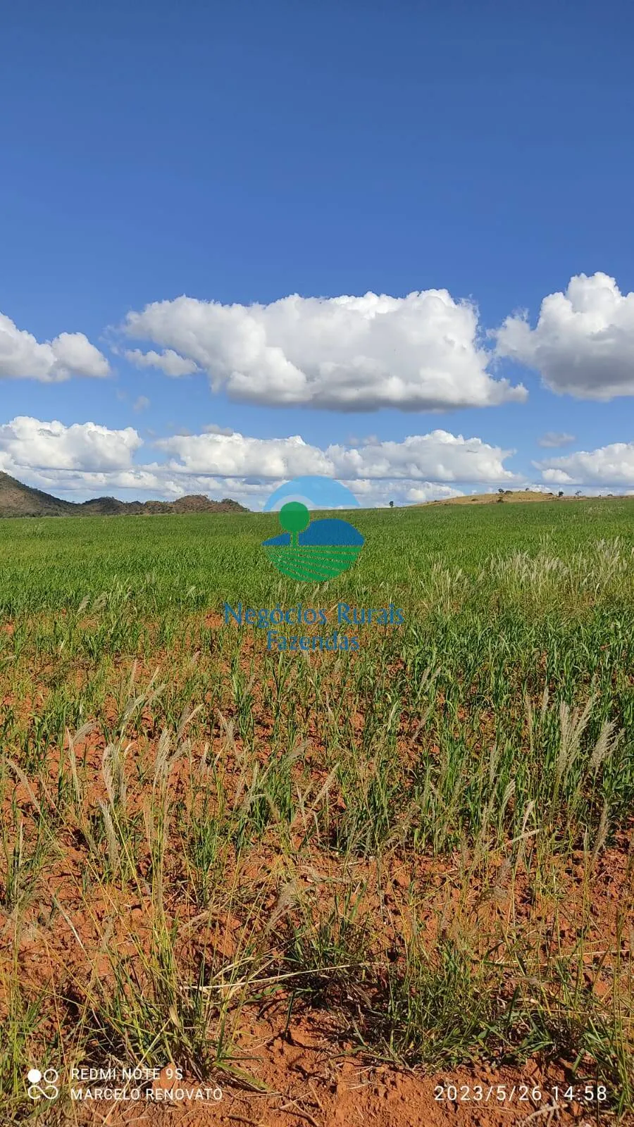 Fazenda à venda de 352 ha em Niquelândia, GO, Brasil