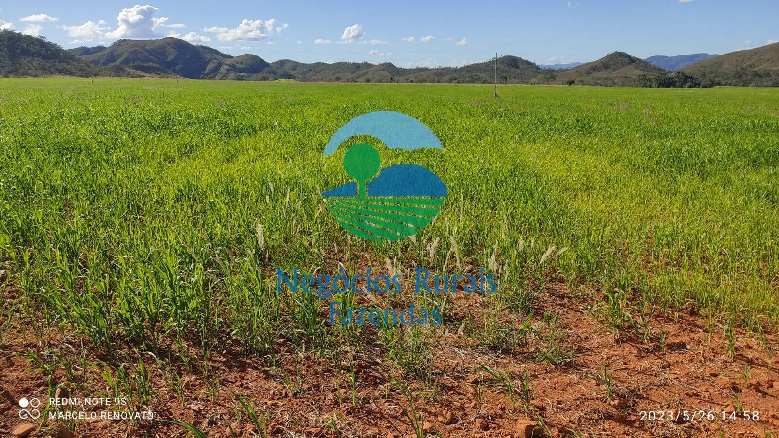 Fazenda à venda de 352 ha em Niquelândia, GO, Brasil