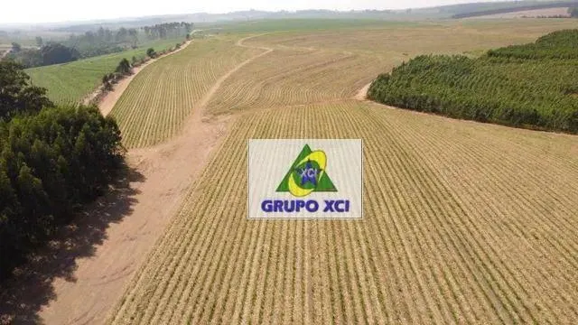 Fazenda à venda de 169 ha em Brotas, SP, Brasil