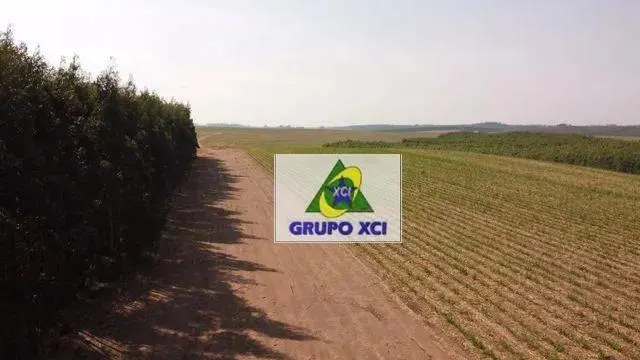 Fazenda à venda de 169 ha em Brotas, SP, Brasil