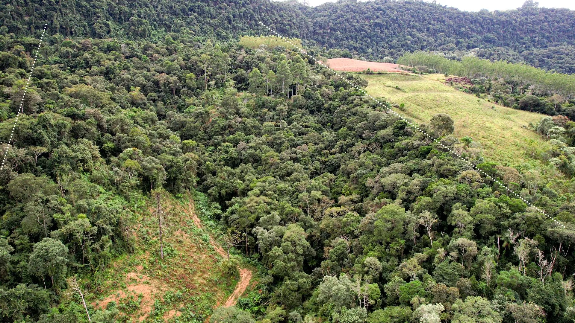 Sítio à venda de 17 ha em Vitor Meireles, SC, Brasil