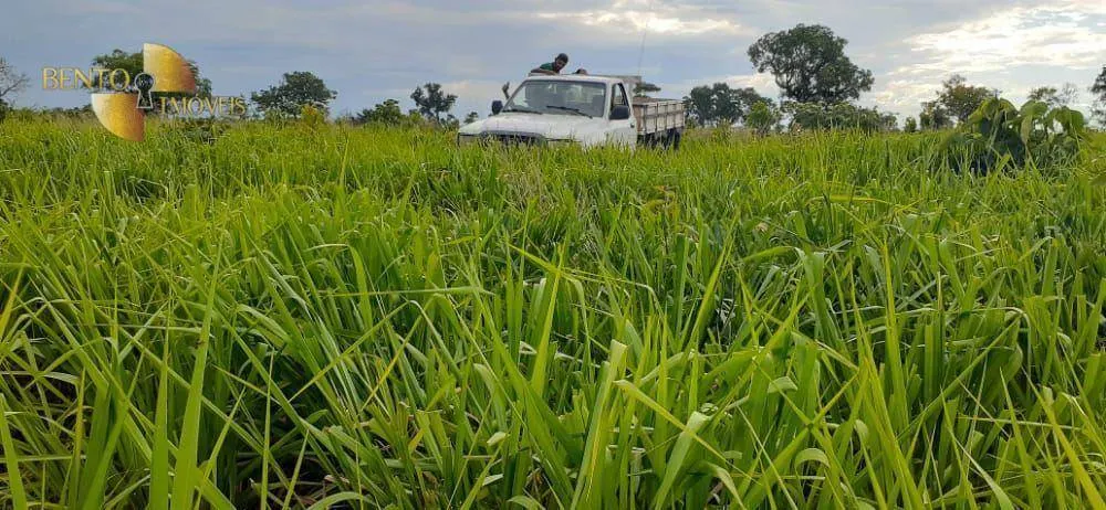 Fazenda à venda de 4.880 ha em Itiquira, MT, Brasil